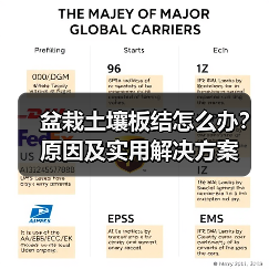 盆栽土壤板结怎么办？原因及实用解决方案（图2）