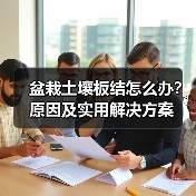 盆栽土壤板结怎么办？原因及实用解决方案