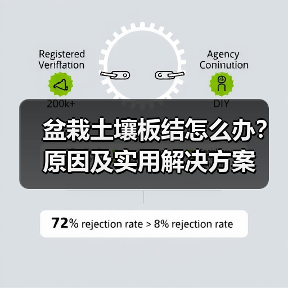 盆栽土壤板结怎么办？原因及实用解决方案（图4）