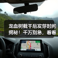 龙血树截干后发芽时间揭秘!千万别急,看看多久能长出新芽(图2) 龙血树截干后发芽时间揭秘!千万别急,看看多久能长出新芽(图2)