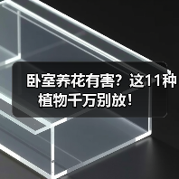 卧室养花有害?这11种植物千万别放!(图2) 卧室养花有害?这11种植物千万别放!(图2)