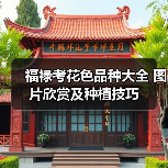 福禄考花色品种大全 图片欣赏及种植技巧(图1) 福禄考花色品种大全 图片欣赏及种植技巧(图1)
