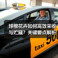球根花卉如何高效采收与贮藏?关键要点解析(图2) 球根花卉如何高效采收与贮藏?关键要点解析(图2)