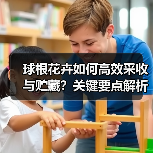 球根花卉如何高效采收与贮藏?关键要点解析(图4) 球根花卉如何高效采收与贮藏?关键要点解析(图4)