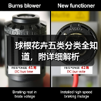 球根花卉五类分类全知道,附详细解析(图3) 球根花卉五类分类全知道,附详细解析(图3)