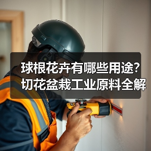 球根花卉有哪些用途?切花盆栽工业原料全解析(图2) 球根花卉有哪些用途?切花盆栽工业原料全解析(图2)
