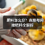 肥料怎么分?直接与间接肥料全解析(图4) 肥料怎么分?直接与间接肥料全解析(图4)