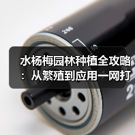 水杨梅园林种植全攻略:从繁殖到应用一网打尽(图1) 水杨梅园林种植全攻略:从繁殖到应用一网打尽(图1)