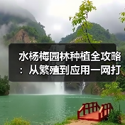 水杨梅园林种植全攻略:从繁殖到应用一网打尽(图2) 水杨梅园林种植全攻略:从繁殖到应用一网打尽(图2)