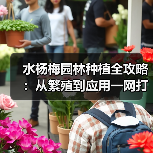 水杨梅园林种植全攻略:从繁殖到应用一网打尽(图4) 水杨梅园林种植全攻略:从繁殖到应用一网打尽(图4)