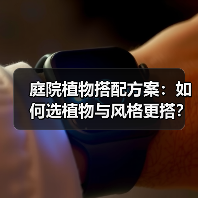 庭院植物搭配方案：如何选植物与风格更搭？（图1）