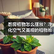 厨房植物怎么摆放?净化空气又美观的植物推荐指南(图1) 厨房植物怎么摆放?净化空气又美观的植物推荐指南(图1)