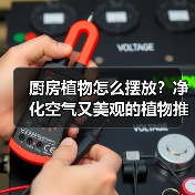 厨房植物怎么摆放?净化空气又美观的植物推荐指南(图4) 厨房植物怎么摆放?净化空气又美观的植物推荐指南(图4)