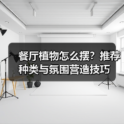 餐厅植物怎么摆?推荐种类与氛围营造技巧(图3) 餐厅植物怎么摆?推荐种类与氛围营造技巧(图3)