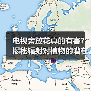 电视旁放花真的有害？揭秘辐射对植物的潜在伤害（图2）