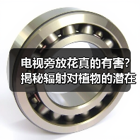 电视旁放花真的有害？揭秘辐射对植物的潜在伤害（图3）