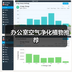办公室空气净化植物推荐(图1) 办公室空气净化植物推荐(图1)