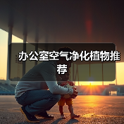 办公室空气净化植物推荐(图4) 办公室空气净化植物推荐(图4)