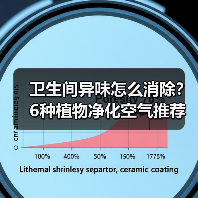 卫生间异味怎么消除?6种植物净化空气推荐(图1) 卫生间异味怎么消除?6种植物净化空气推荐(图1)