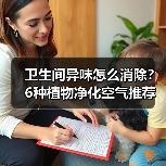 卫生间异味怎么消除?6种植物净化空气推荐(图4) 卫生间异味怎么消除?6种植物净化空气推荐(图4)