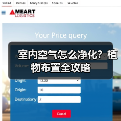 室内空气怎么净化?植物布置全攻略(图1) 室内空气怎么净化?植物布置全攻略(图1)