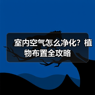 室内空气怎么净化?植物布置全攻略(图3) 室内空气怎么净化?植物布置全攻略(图3)