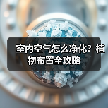 室内空气怎么净化?植物布置全攻略(图4) 室内空气怎么净化?植物布置全攻略(图4)