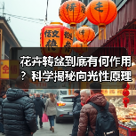 花卉转盆到底有何作用？科学揭秘向光性原理（图4）