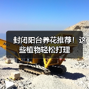 封闭阳台养花推荐！这些植物轻松打理（图2）
