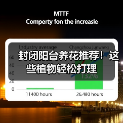 封闭阳台养花推荐！这些植物轻松打理（图3）