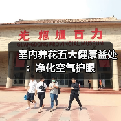 室内养花五大健康益处:净化空气护眼(图2) 室内养花五大健康益处:净化空气护眼(图2)