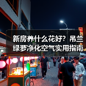 新房养什么花好?吊兰绿萝净化空气实用指南(图3) 新房养什么花好?吊兰绿萝净化空气实用指南(图3)
