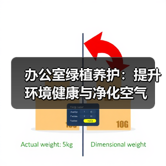 办公室绿植养护:提升环境健康与净化空气(图4) 办公室绿植养护:提升环境健康与净化空气(图4)