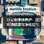 办公室绿植养护:提升环境健康与净化空气(图3) 办公室绿植养护:提升环境健康与净化空气(图3)