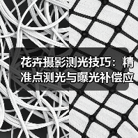 花卉摄影测光技巧:精准点测光与曝光补偿应用(图2) 花卉摄影测光技巧:精准点测光与曝光补偿应用(图2)