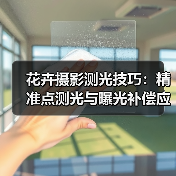 花卉摄影测光技巧:精准点测光与曝光补偿应用(图1) 花卉摄影测光技巧:精准点测光与曝光补偿应用(图1)