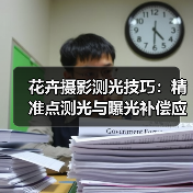 花卉摄影测光技巧:精准点测光与曝光补偿应用(图3) 花卉摄影测光技巧:精准点测光与曝光补偿应用(图3)