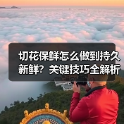 切花保鲜怎么做到持久新鲜?关键技巧全解析(图2) 切花保鲜怎么做到持久新鲜?关键技巧全解析(图2)