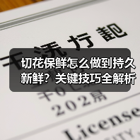 切花保鲜怎么做到持久新鲜?关键技巧全解析(图4) 切花保鲜怎么做到持久新鲜?关键技巧全解析(图4)