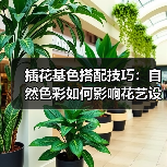 插花基色搭配技巧:自然色彩如何影响花艺设计?(图2) 插花基色搭配技巧:自然色彩如何影响花艺设计?(图2)