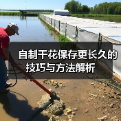 自制干花保存更长久的技巧与方法解析(图2) 自制干花保存更长久的技巧与方法解析(图2)