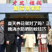 夏天养花做对了吗?正确浇水防晒防蚊技巧(图1) 夏天养花做对了吗?正确浇水防晒防蚊技巧(图1)