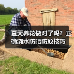 夏天养花做对了吗?正确浇水防晒防蚊技巧(图2) 夏天养花做对了吗?正确浇水防晒防蚊技巧(图2)