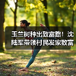 玉兰树种出致富路!沈陆军带领村民发家致富(图4) 玉兰树种出致富路!沈陆军带领村民发家致富(图4)
