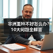 非洲堇种不好怎么办?10大问题全解答(图2) 非洲堇种不好怎么办?10大问题全解答(图2)