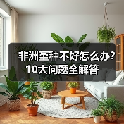 非洲堇种不好怎么办?10大问题全解答(图3) 非洲堇种不好怎么办?10大问题全解答(图3)