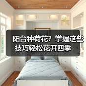 阳台种荷花？掌握这些技巧轻松花开四季