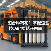 阳台种荷花?掌握这些技巧轻松花开四季(图2) 阳台种荷花?掌握这些技巧轻松花开四季(图2)