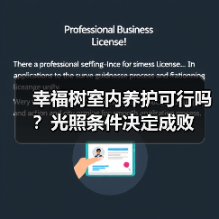 幸福树室内养护可行吗?光照条件决定成败(图3) 幸福树室内养护可行吗?光照条件决定成败(图3)