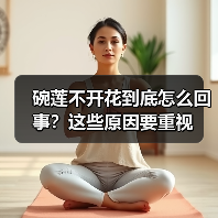 碗莲不开花到底怎么回事?这些原因要重视(图4) 碗莲不开花到底怎么回事?这些原因要重视(图4)